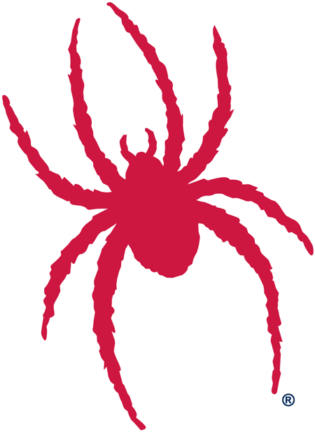 Richmond Spiders 2002-Pres Alternate Logo diy iron on heat transfer...